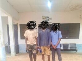 Upper West Regional Police Command arrests 3 persons for allegedly possessing ammunition without licence