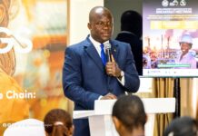 Africa’s mining sector must shift from a model of mere extraction to inclusion – Abu Jinapor