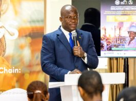 Translate Africa’s mineral wealth into real and inclusive opportunities – Former Lands Minister urges leaders