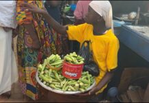 NR: Pupils at Lepusi Primary and Junior High School abandon classes on market days to make money