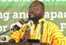 Gov’t plans to double coconut plantation coverage to 180k hectares by 2028 – Presidential Advisor on Agric