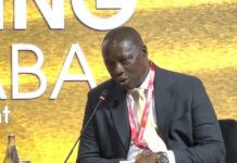 Lands Minister urges African leaders to transform integration discussions into reality