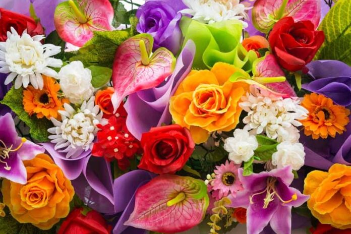 WhatsApp Image 2026-02-17 at 13.00.13