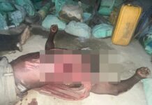 UER: 3 persons die in mining accident at Gbane
