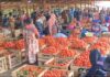 Tomato traders and transporters in Kumasi suspend trips to Burkina Faso for security reasons
