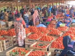 Tomato traders and transporters in Kumasi suspend trips to Burkina Faso for security reasons