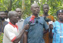 Alliance for Western North Cocoa Farmers backs Government on cocoa price reduction