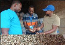 Stakeholders boost sorghum production through Value Chain Project in five regions