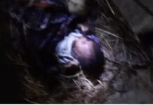 Gender Ministry confirms rescue of abandoned newborn in Elmina