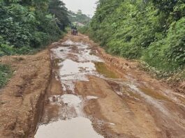 Jomoro MP tackles deplorable roads to boost local economy