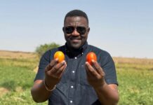 It’s my prayer that next year trucks to Burkina Faso for tomatoes will be diverted to local farms – Dumelo