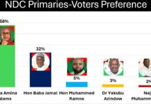 Hajia Amina Adams leads Ayawaso East NDC Primary race – Global InfoAnalytics Poll