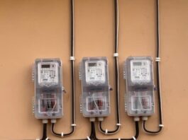 Energy Minister orders probe into alleged rapid depletion of prepaid electricity units