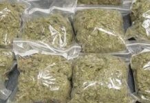 Ghana Navy intercepts canoe carrying 37 sacks of suspected Indian hemp near Ada