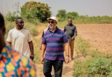 MiDA CEO raises alarm over ‘wasted agricultural assets’