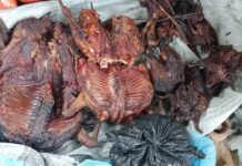 Man jailed three years for poaching in Ankasa Forest Reserve