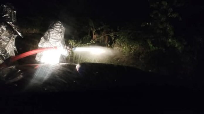 Bees attack - Agona Swedru (1)