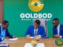 Gold Board commits GH¢35m to reclaim degraded Tano Nimiri Forest Reserve