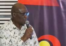 No foreign investors will develop the country for us – Ken Thompson