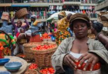 ‘Any claim that Ghana can’t solve tomato shortages quickly an admission of policy, planning & leadership failure’ – FABAG slams Agric Ministry