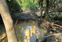 Forestry Commission’s Rapid Response Team arrests 23 illegal miners operating on Oda River