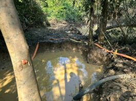 Forestry Commission’s Rapid Response Team arrests 23 illegal miners operating on Oda River