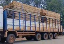 National Timber Monitoring Team impounds 15 trucks loaded with illegally logged timber, shuts down sawmill