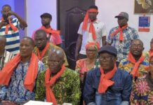 The rebuilding of the party must be anchored on fairness and transparency – Tarkwa-Naeem NPP elders caution