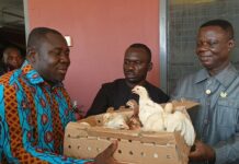 1,800 households receive birds as Western North Region launches ‘Nkoko Nkitikiti’ programme