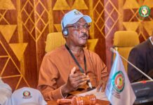 No ECO currency without harmonization first – Ghana’s delegate to ECOWAS
