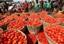 Burkina Faso’s ban on tomato export poses national security risk to Ghana – Akosua Manu