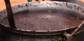 Central Region: Palm kernel oil producers lament challenges with manual production processes