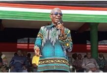 If Mahama fails, all of us will take the fall – Asiedu Nketia urges NDC supporters to back Government