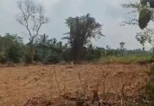 Concerned Farmers Assoc. calls for IGP, National House of Chiefs’ intervention on sale of farmlands at Asekesu