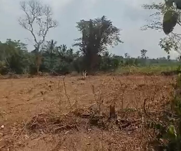 farmland