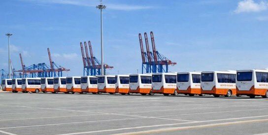 Buses (3)