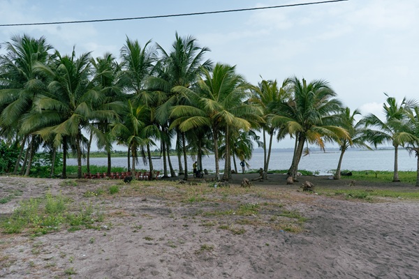 Coast Climate Change