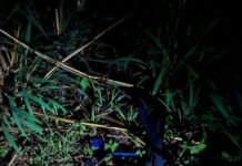 Police foil highway robbery attempt on Ejura-Nkoranza stretch; one suspect killed