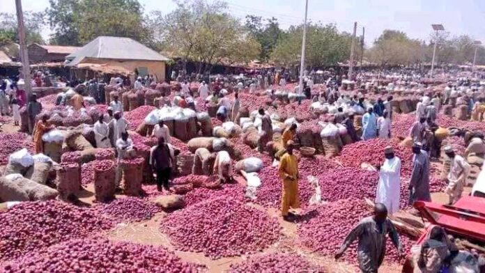 Onion market