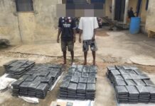 Ashanti North Regional Police Command arrests 2 suspects for possession of substance suspectd to be Indian Hemp