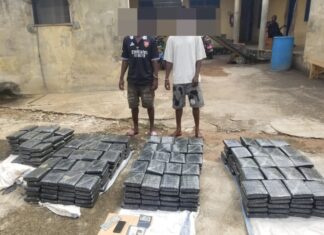 Ashanti North Regional Police Command arrests 2 suspects for possession of substance suspectd to be Indian Hemp