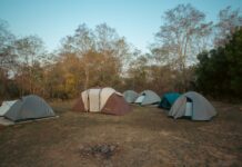 Mole National Park rolls out activities for Easter holidays