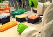 A drop of blood, instant answers: Portable diagnostic tools delivering real-time disease detection