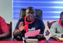 Freight forwarders threaten sit-down strike over ‘flawed’ Publican AI system