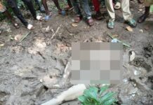 Bono Regional Police commence investigation into suspected murder of alleged illegal miner