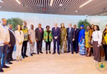 Gov’t is committed to strengthening tomato production value chain – Veep Opoku-Agyemang