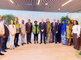 Gov’t is committed to strengthening tomato production value chain – Veep Opoku-Agyemang