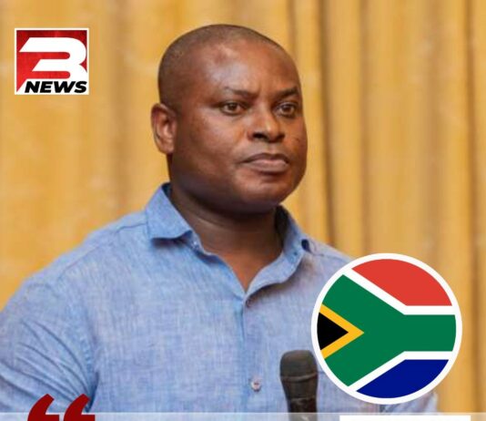 Xenophobic attacks in South Africa: The youth are angry over internal economic challenges rather than foreigners – Ahiagbah