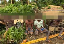 Forestry Commission officials arrest 10 illegal miners in Oda River Forest Reserve