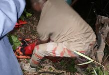 Eastern Region: 7 dead in Nkawkaw ‘Atta Ne Atta’ accident